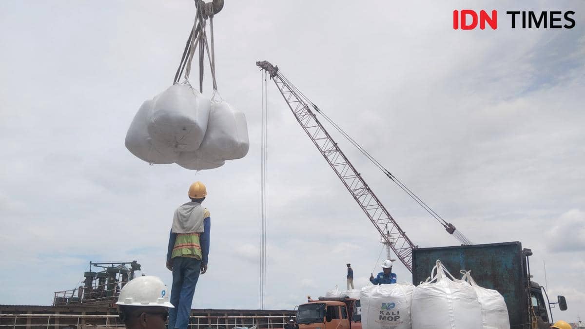 Aktivitas bongkar muat pupuk NPK milik Pusri di PTP Nonpetikemas Pelabuhan Boom Baru Palembang dari distribusi pengiriman Vietnam (IDN Times
