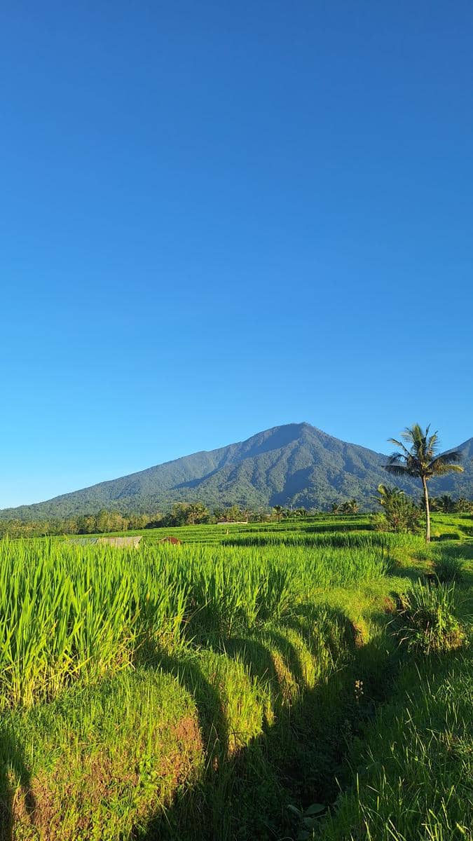 Jatiluwih