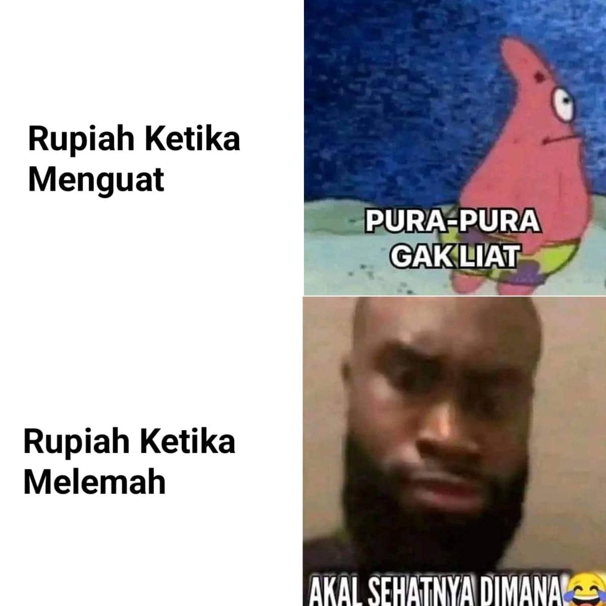 Meme dua panel tentang nilai tukar rupiah, menampilkan reaksi berbeda saat rupiah menguat dan saat rupiah melemah.
