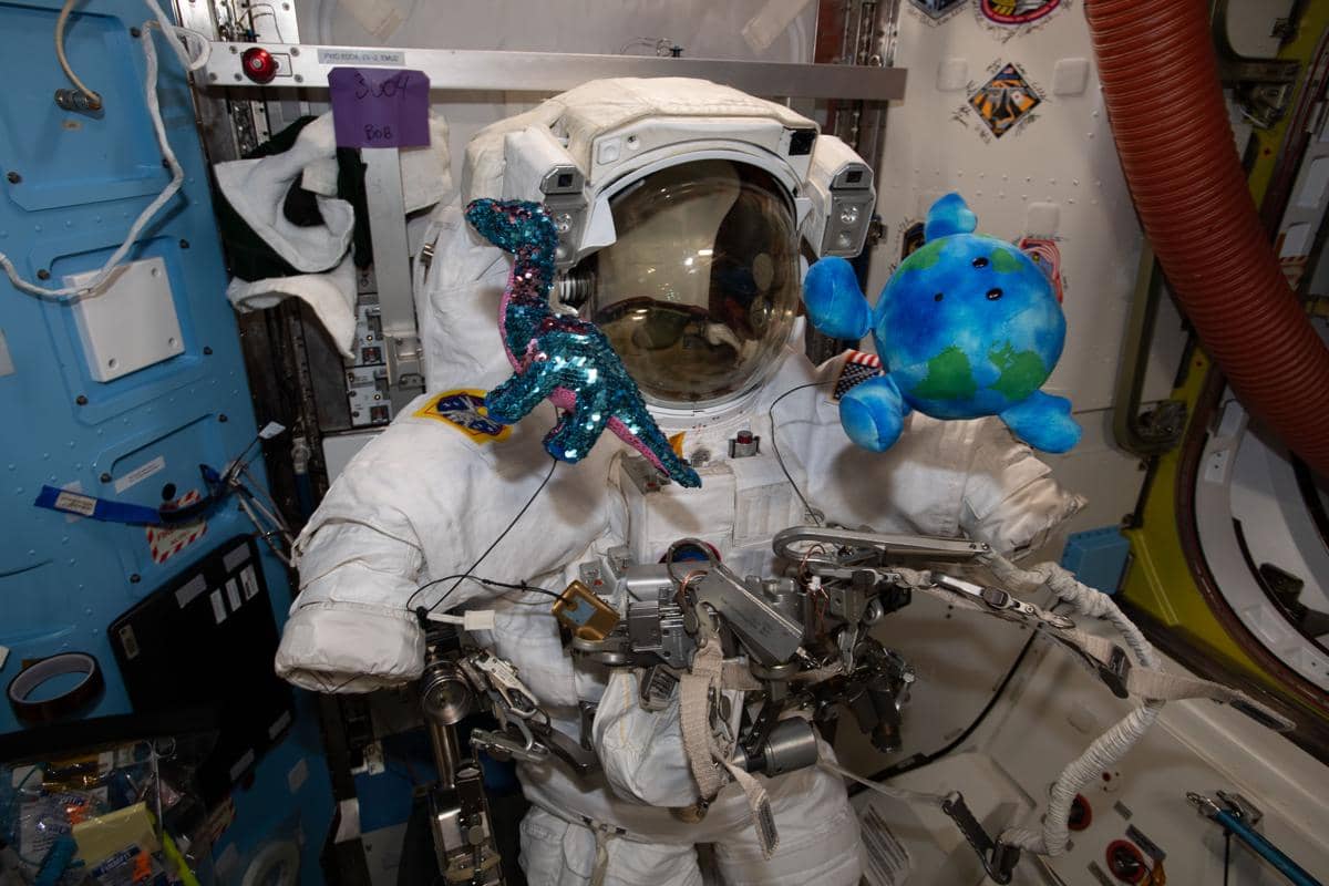 potret boneka yang pernah dibawa NASA ke luar angkasa