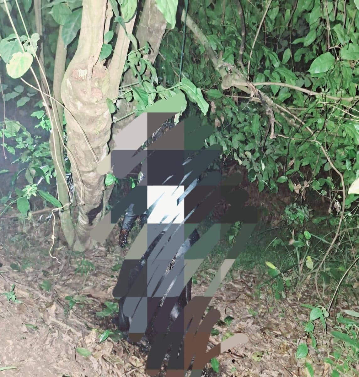Perempuan Tewas Tergantung di Kebun Kota Serang Diduga Dianiaya