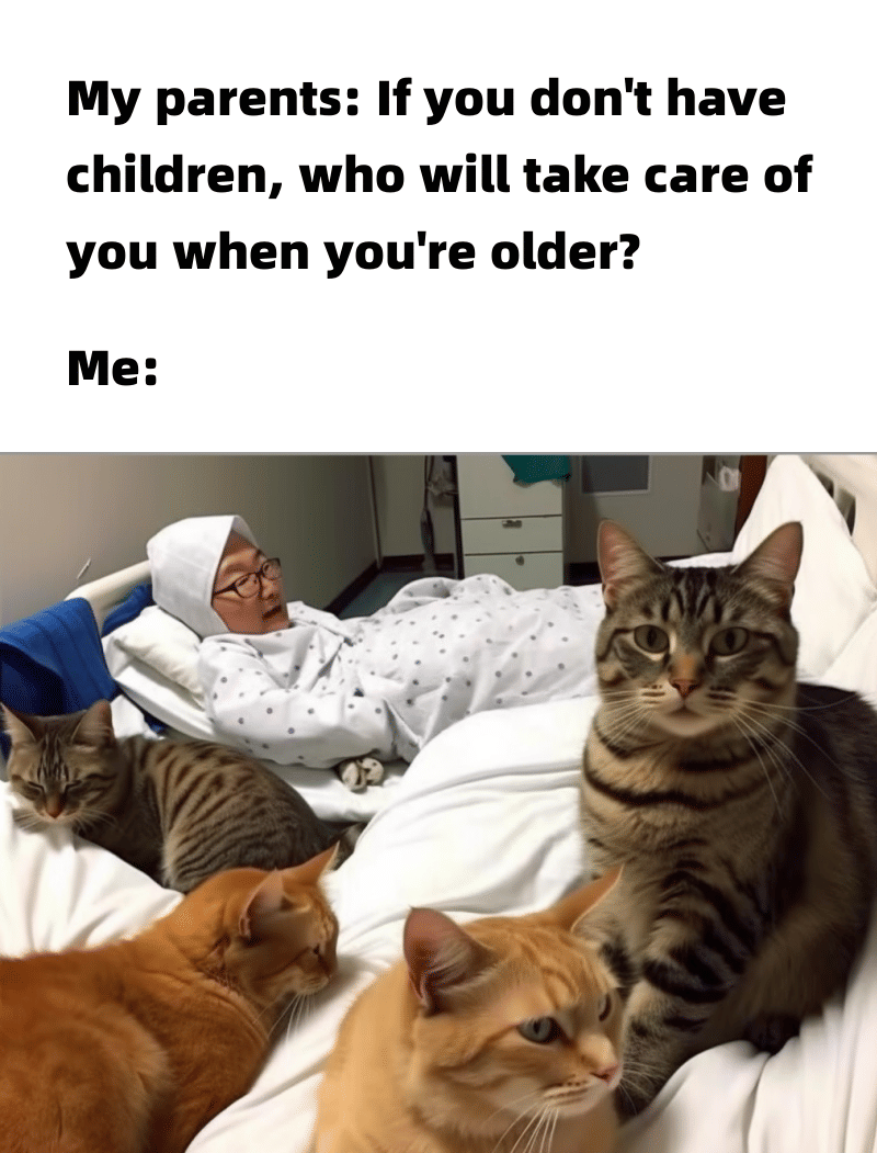 meme kucing tentang keluarga