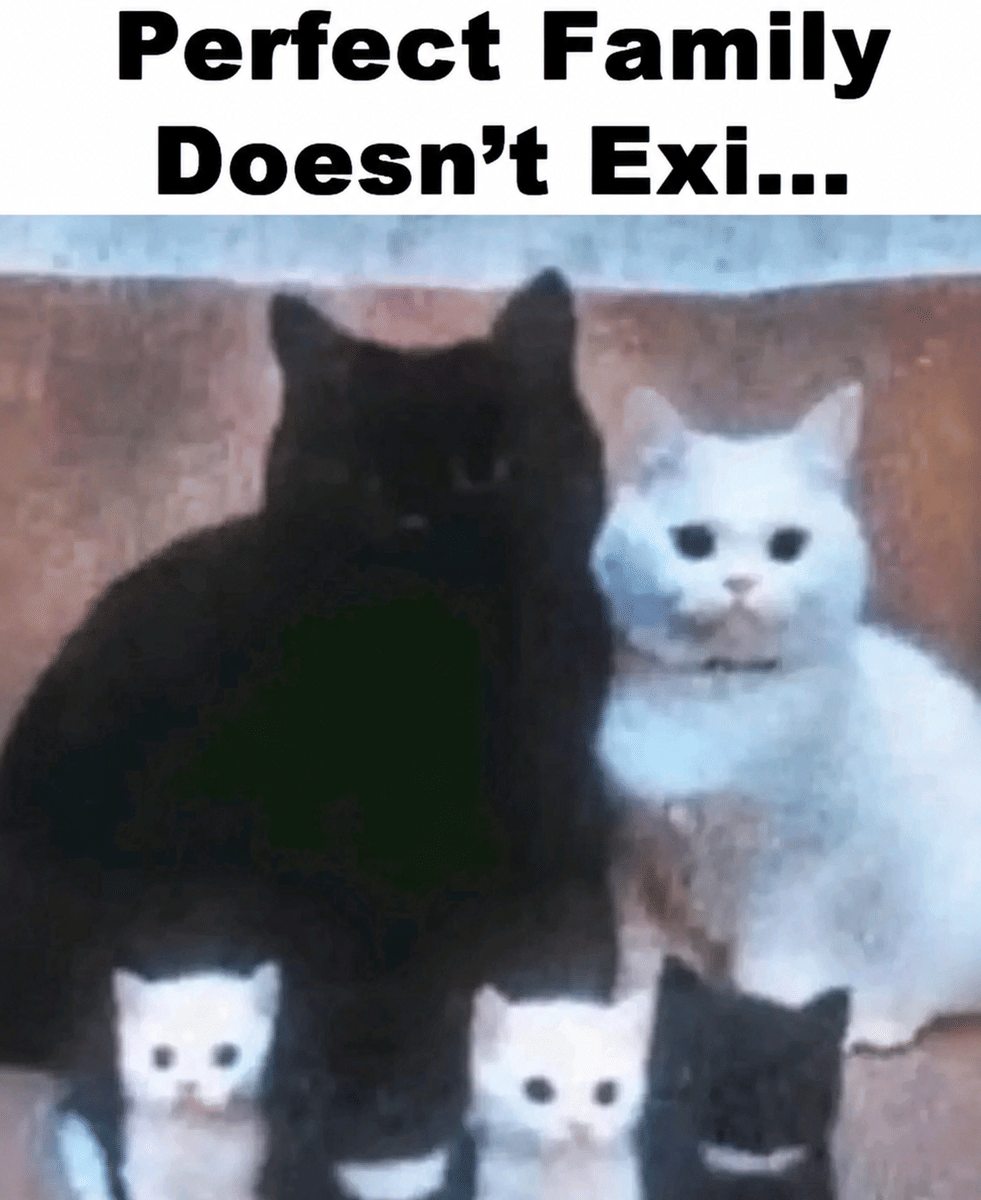 meme kucing tentang keluarga