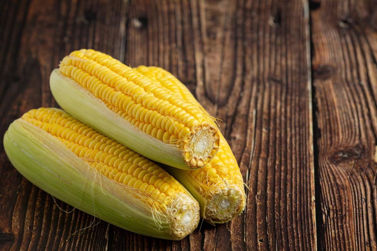 Jagung