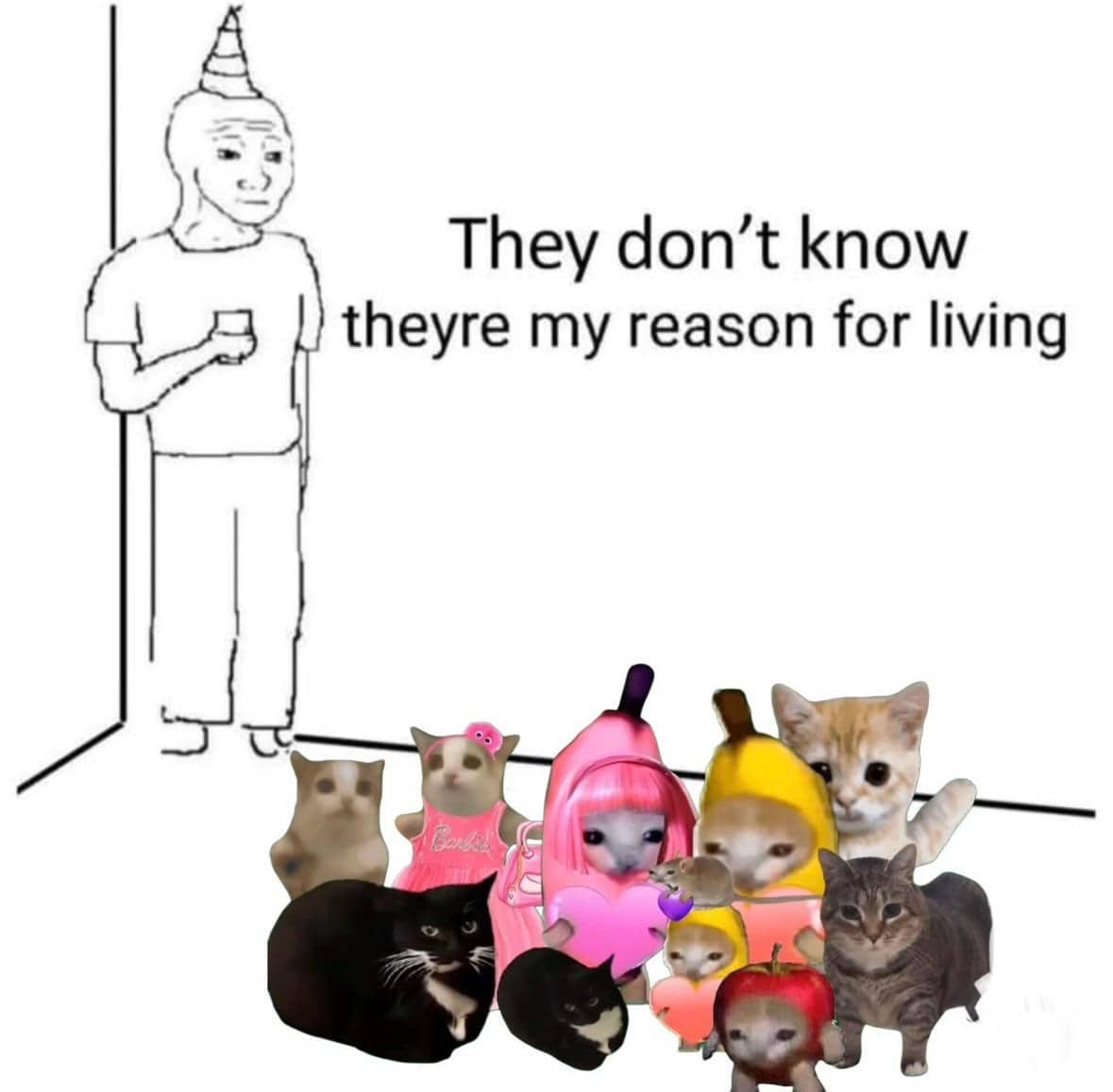 meme kucing tentang keluarga