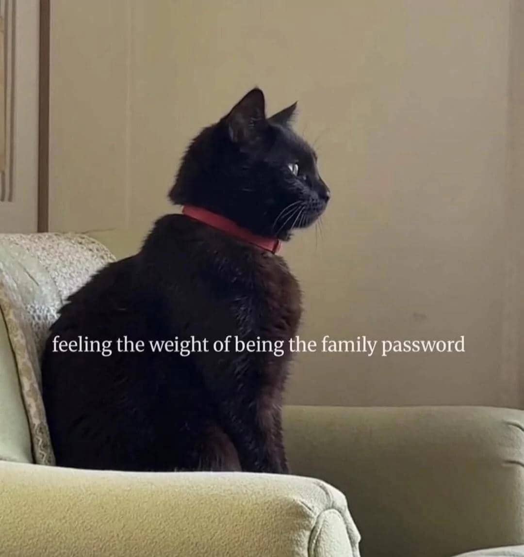 meme kucing tentang keluarga