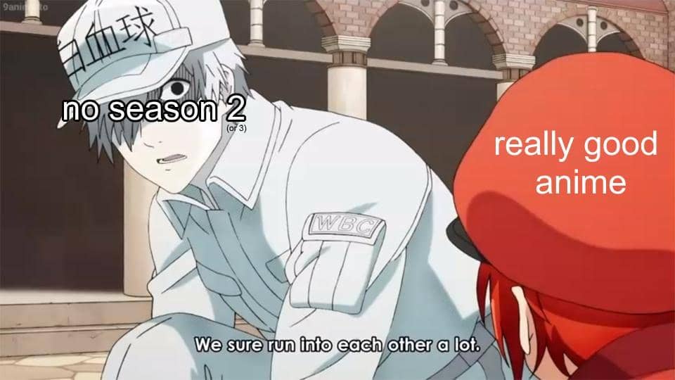 Meme anime menampilkan karakter berlabel 'no season 2' berbicara dengan karakter lain berlabel 'really good anime' dengan teks lucu di bawahnya.