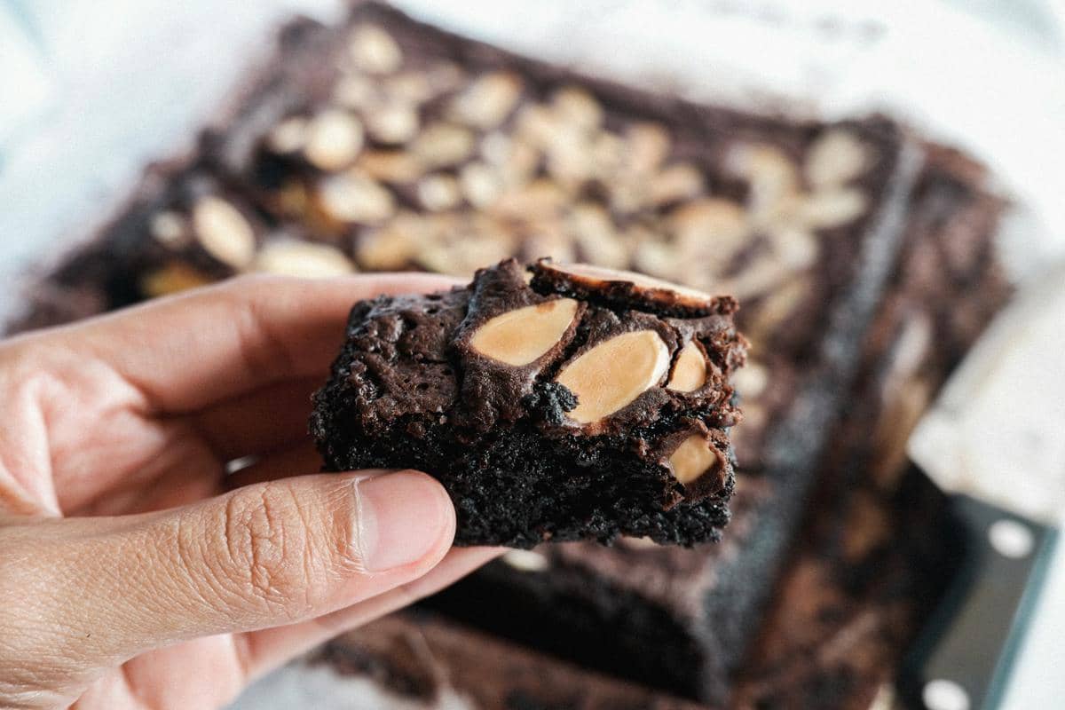 ilustrasi brownies