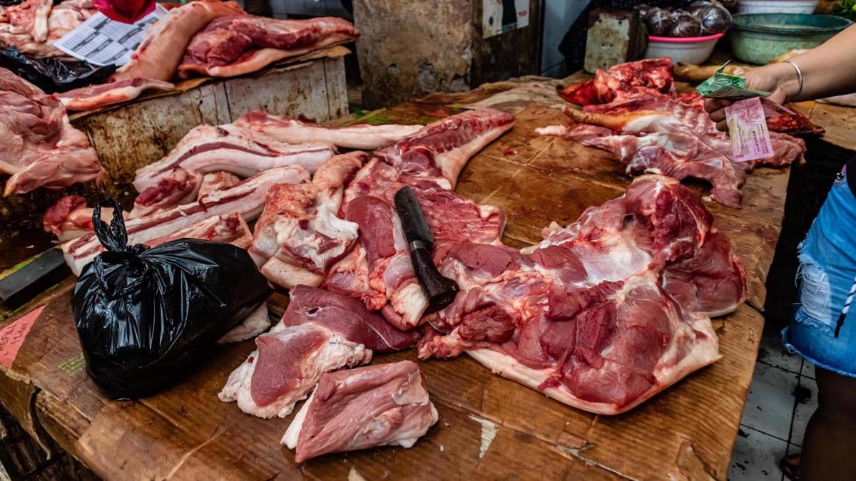 ilustrasi daging kurban