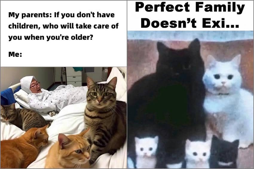8 Meme Kucing tentang Keluarga, Rumah Jadi Ramai sama Anabul