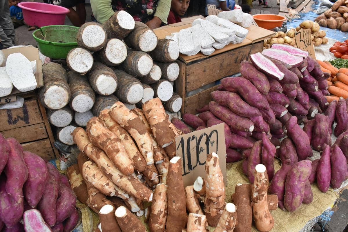Ubi jalar dan singkong