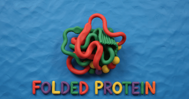 Google memperagakan demo pembuatan video bergaya claymation tentang proses pembentukan protein