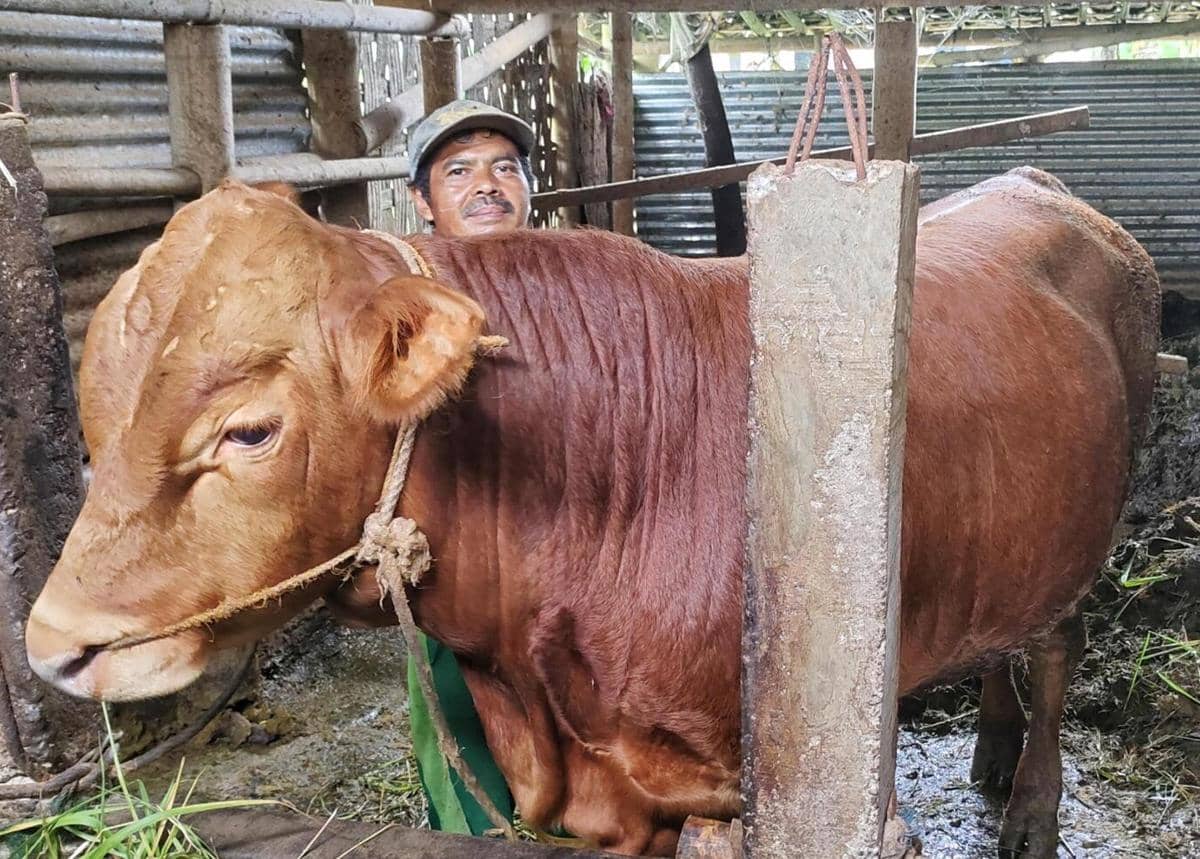 Tanda Sudah Siap Berkurban Tahun Ini, Bukan Sekadar Mampu