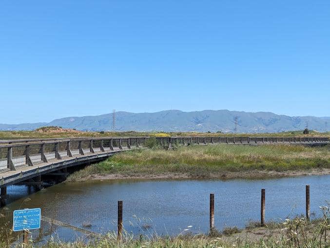 Sunnyvale Baylands Park