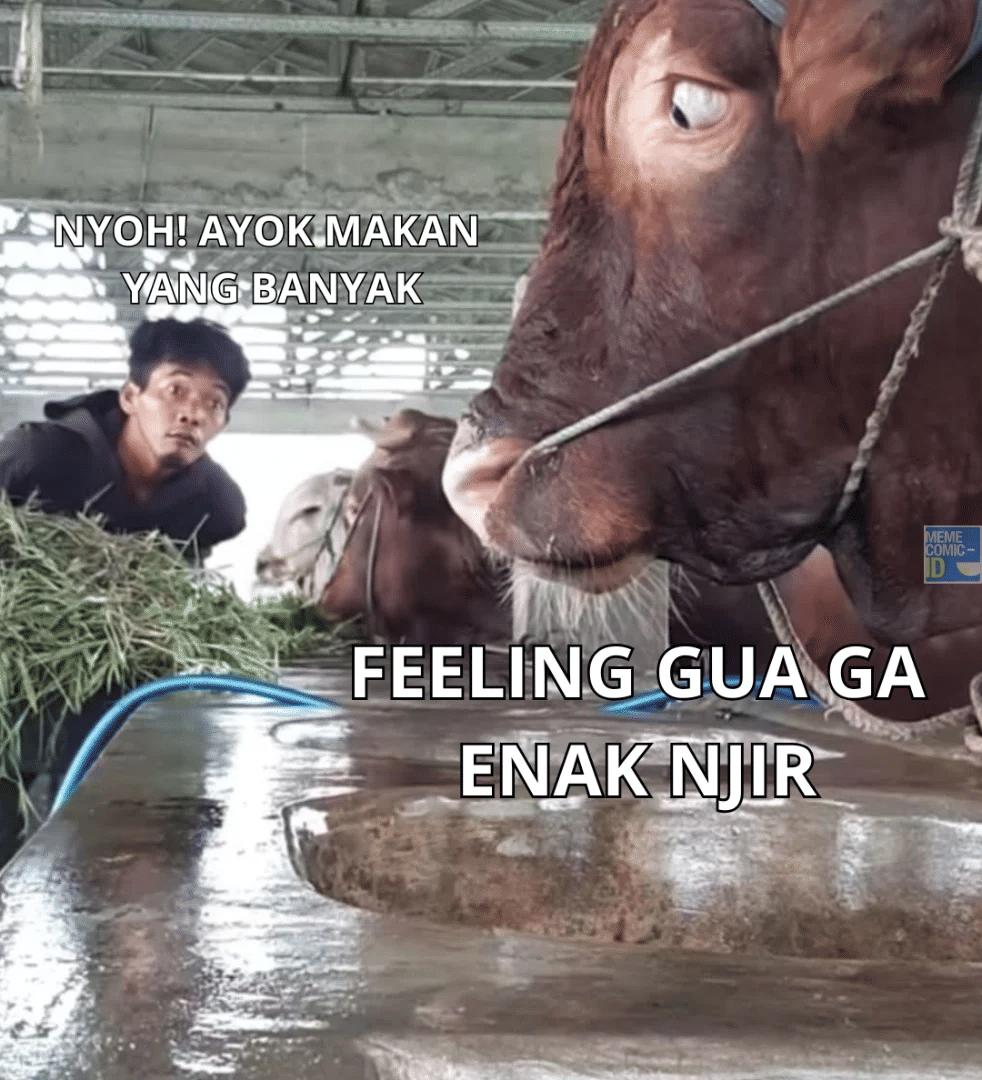 Meme Hewan Kurban Idul Adha 2026