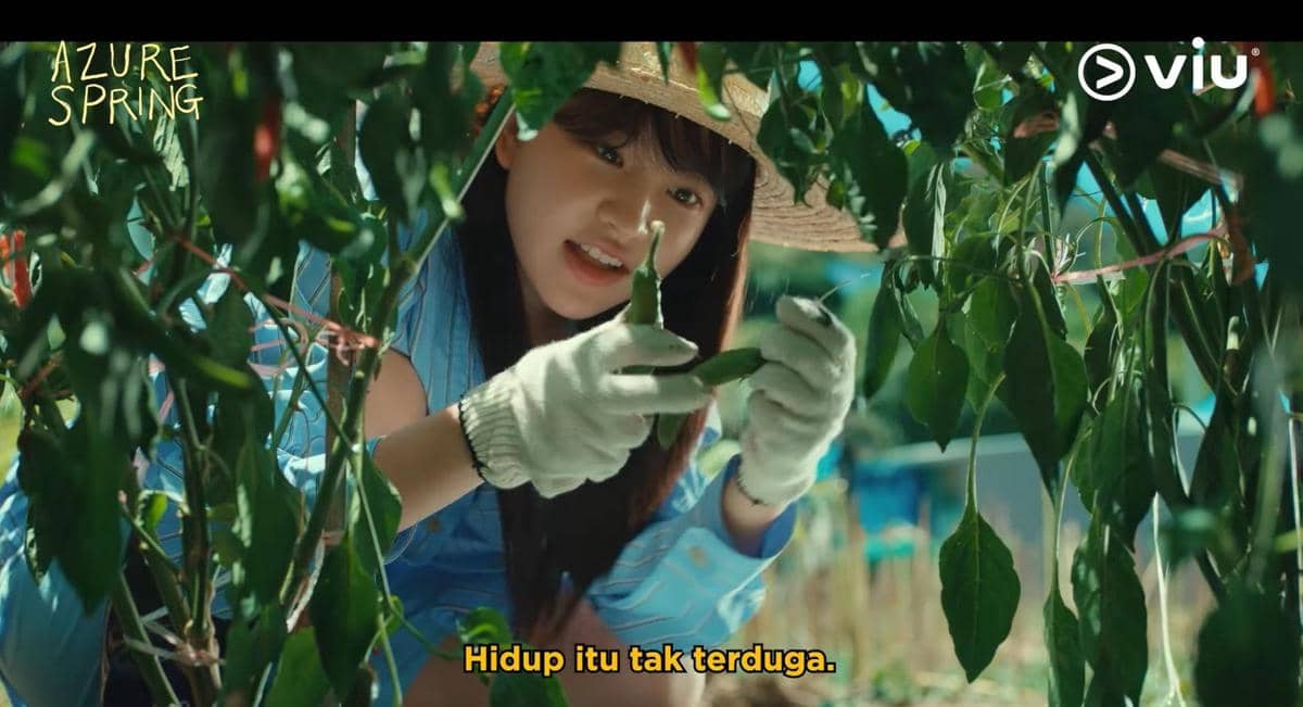 5 Drakor Tentang Healing di Pulau untuk Pulih dari Burnout, Ada Azure Spring