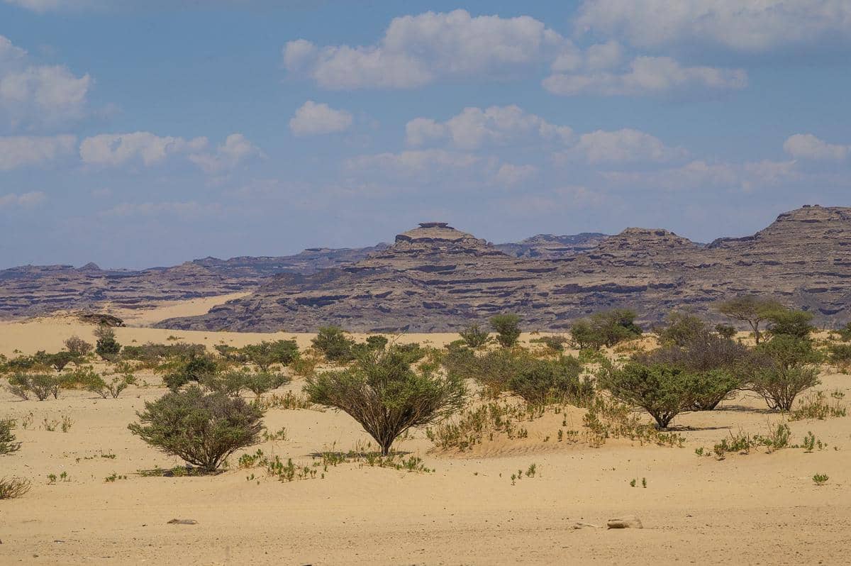 potret Hima Cultural Area