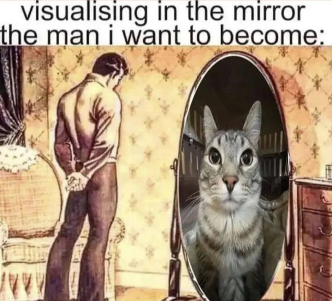 meme kucing dan cermin