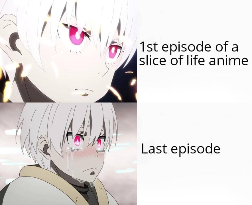 meme episode terakhir anime