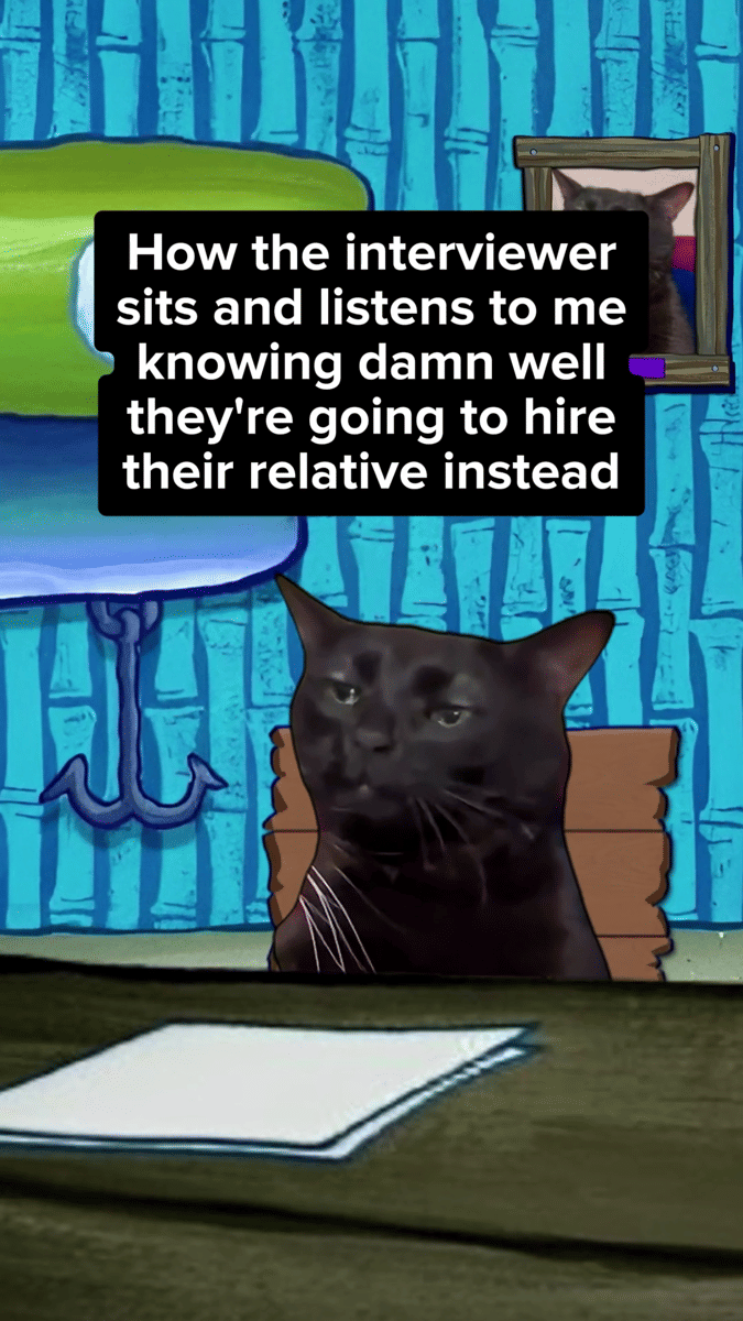 meme kucing tentang mencari kerja