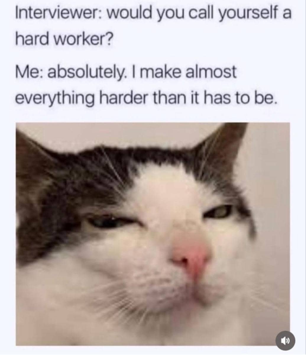 meme kucing tentang mencari kerja
