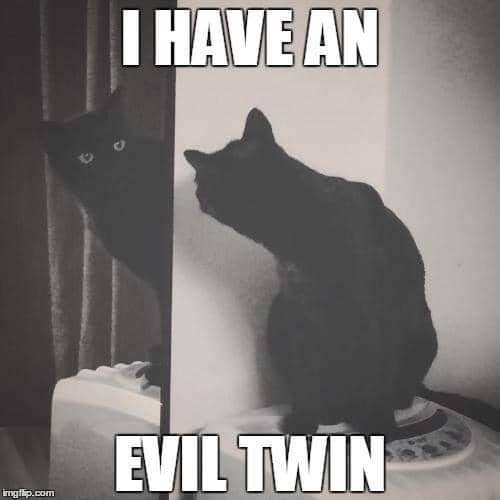 meme kucing dan cermin