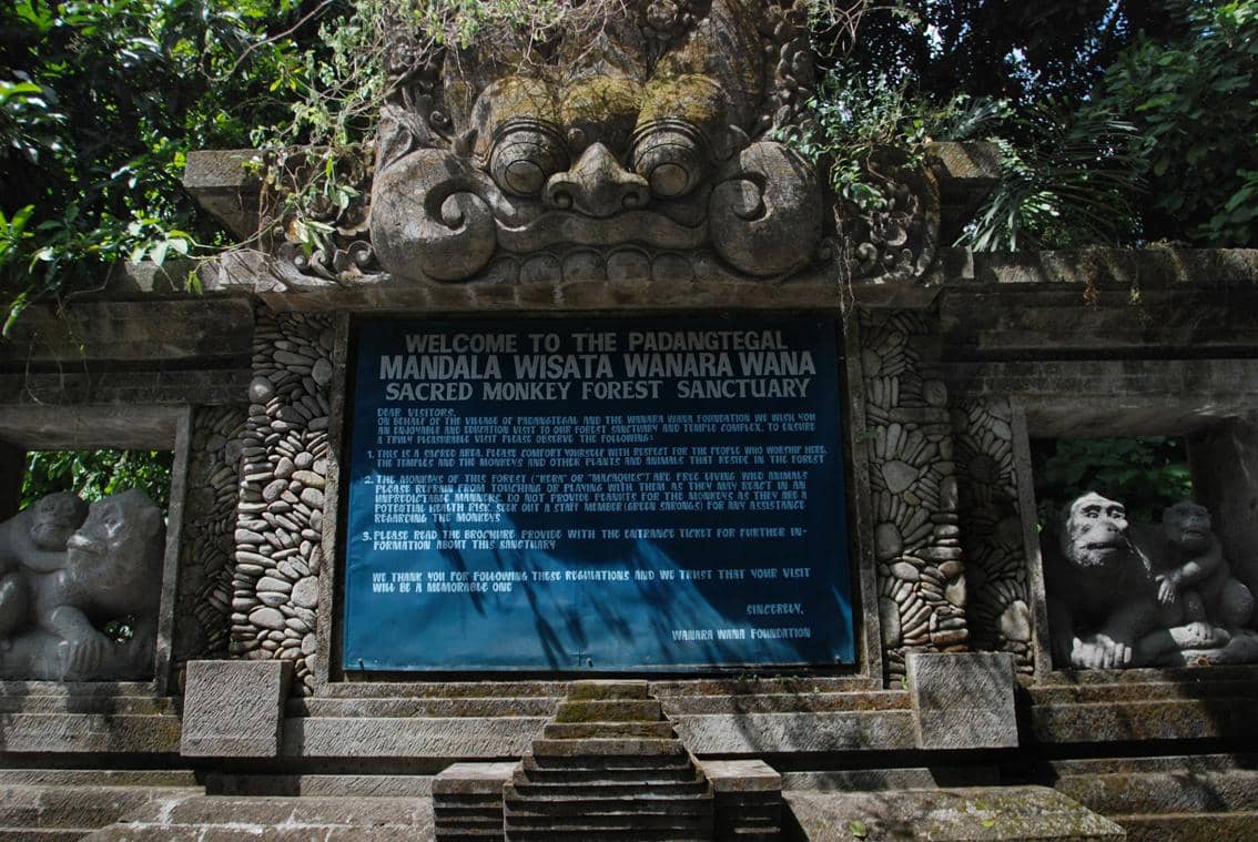 Fakta Hutan Monyet Ubud, Tempat Penuh Misteri dan Tradisi di Bali