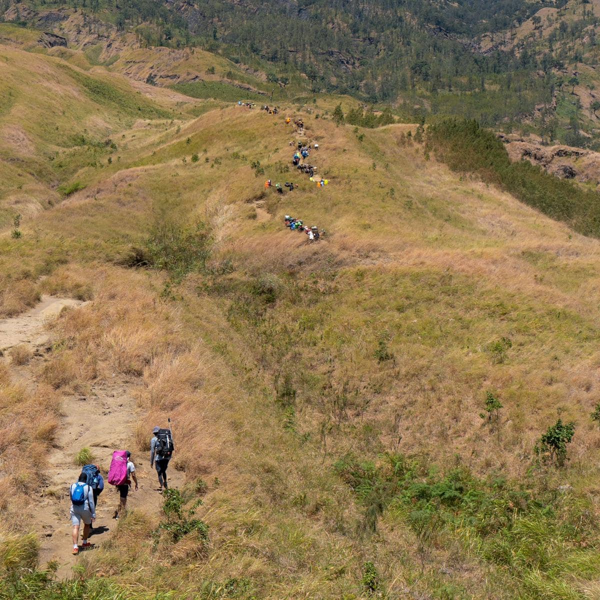 Jalur Sembalun, Gunung Rinjani