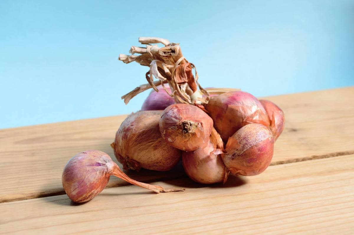 Bawang merah.