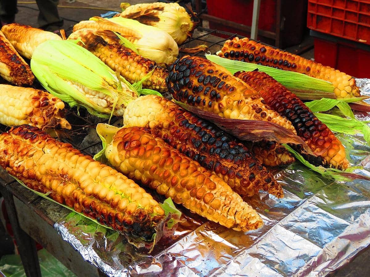 ilustrasi elote