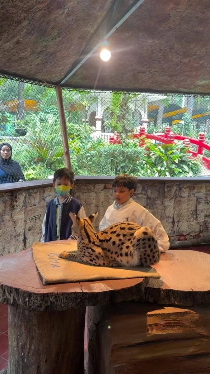 Fadly Faisal ajak keponakan liburan ke taman safari