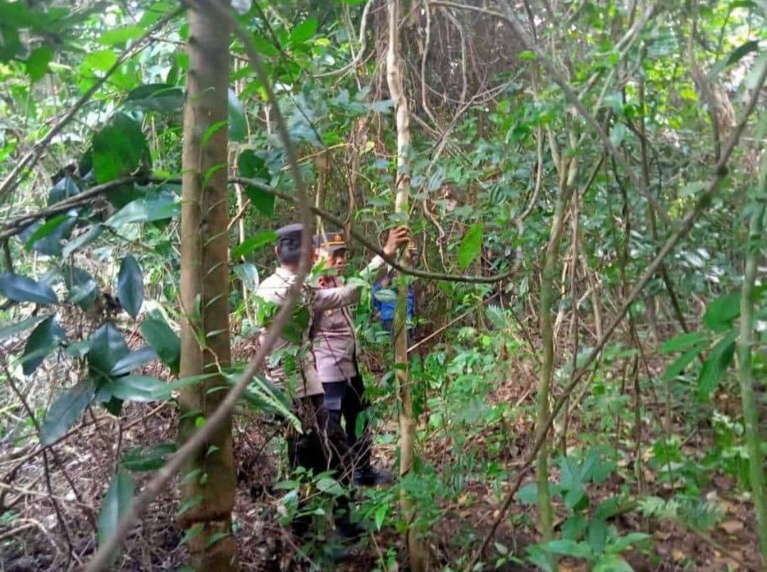 BKSDA Lacak Serangan Beruang Madu di Musi Rawas