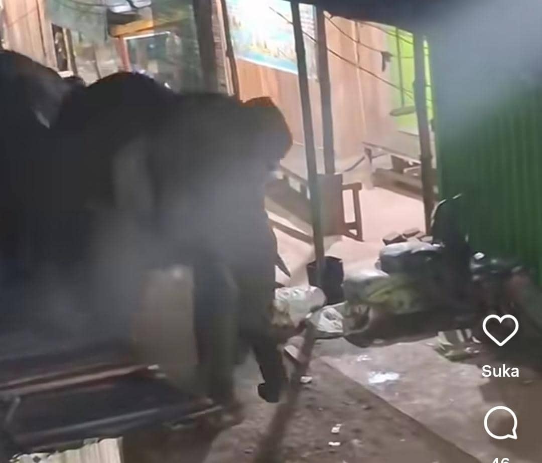 Viral Video 2 Gajah Masuk Pasar Jukung OKI, Warga Sempat Panik