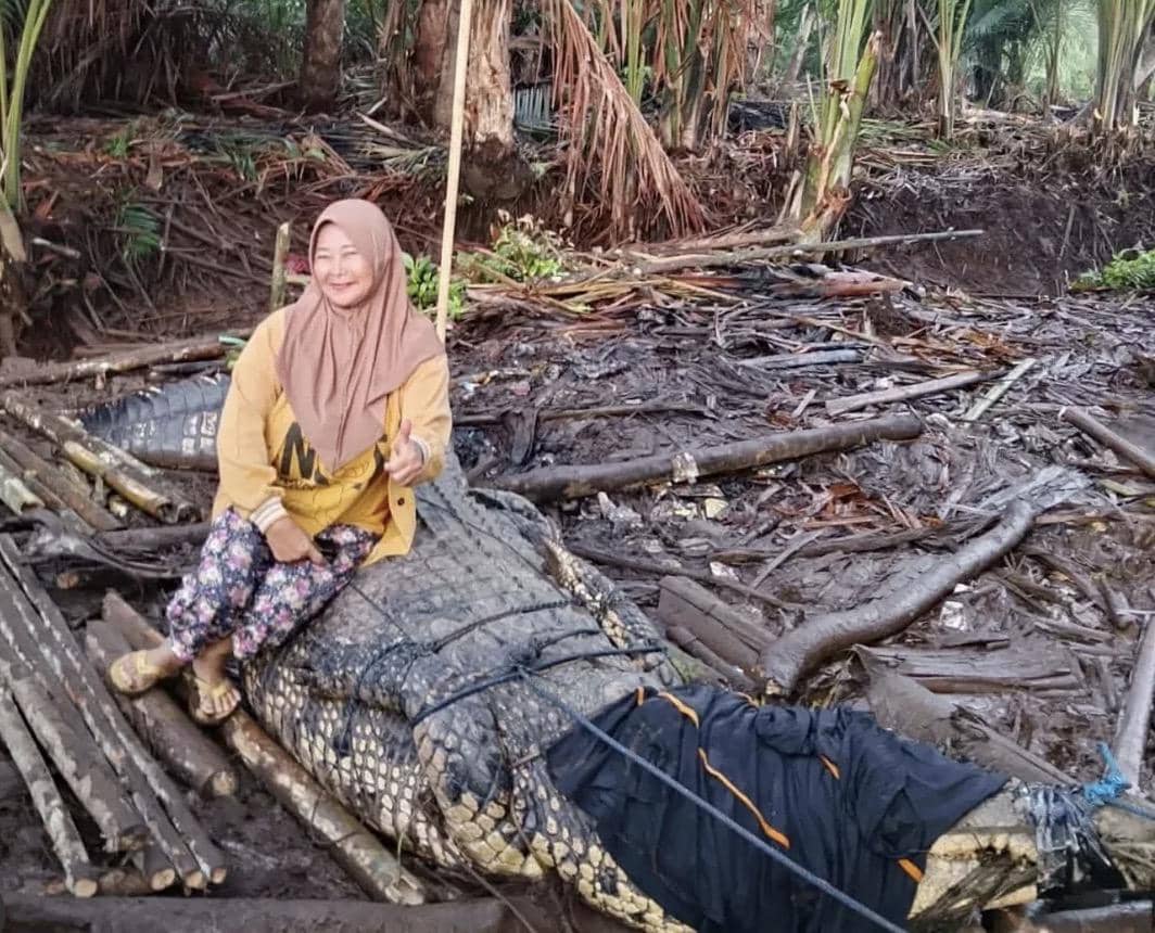 Warga Rebutan Foto di Dekat Buaya Sepanjang 4,6 Meter Usai Ditangkap
