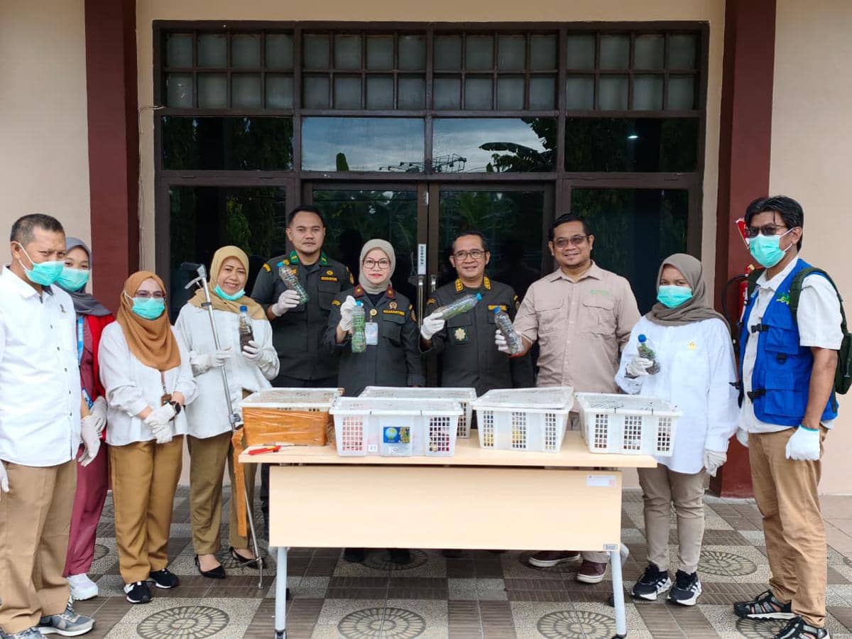 Karantina Sulsel Serahkan Puluhan Reptil Ilegal Asal Papua ke BBKSDA