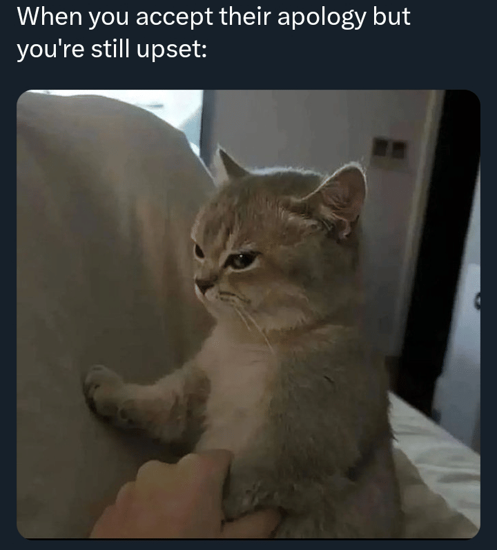 meme kucing dan permintaan maaf