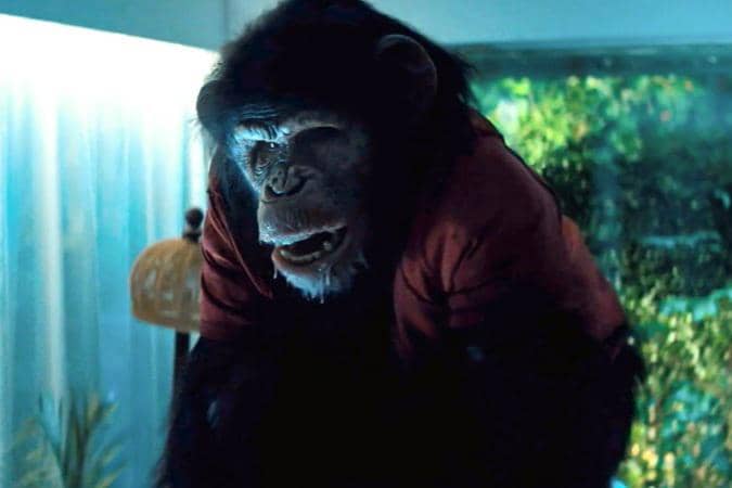 adegan dalam film Primate