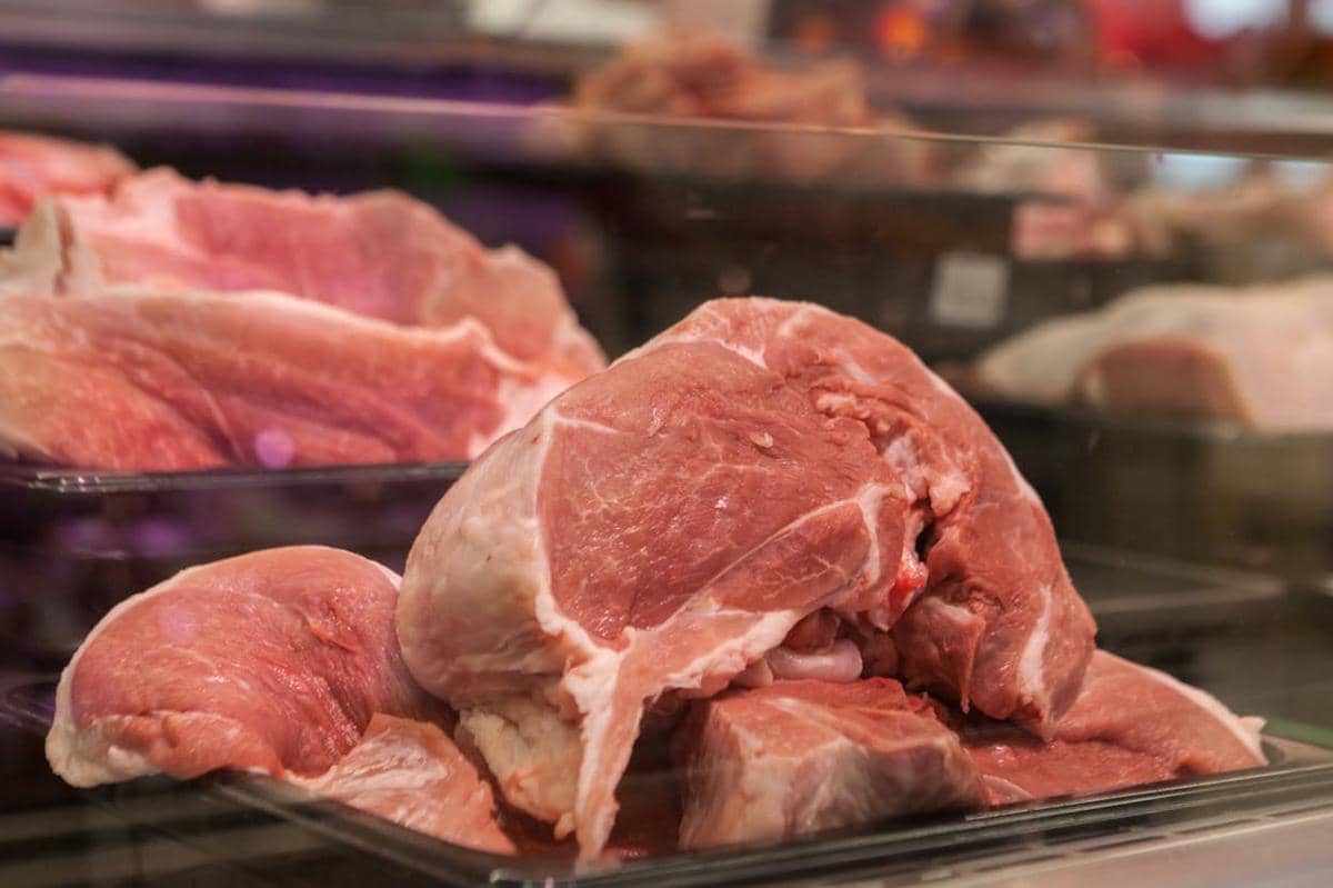 ilustrasi daging kambing