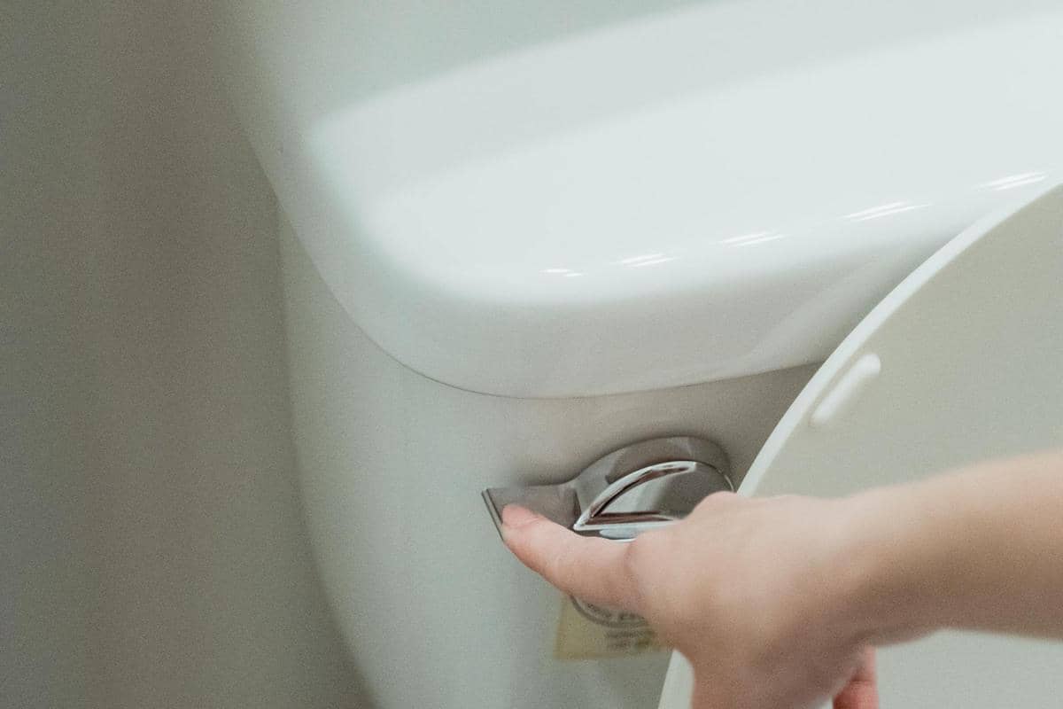 menyiram toilet