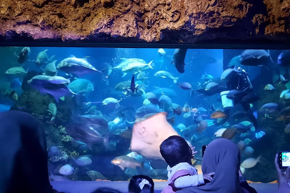 Sea World Ancol
