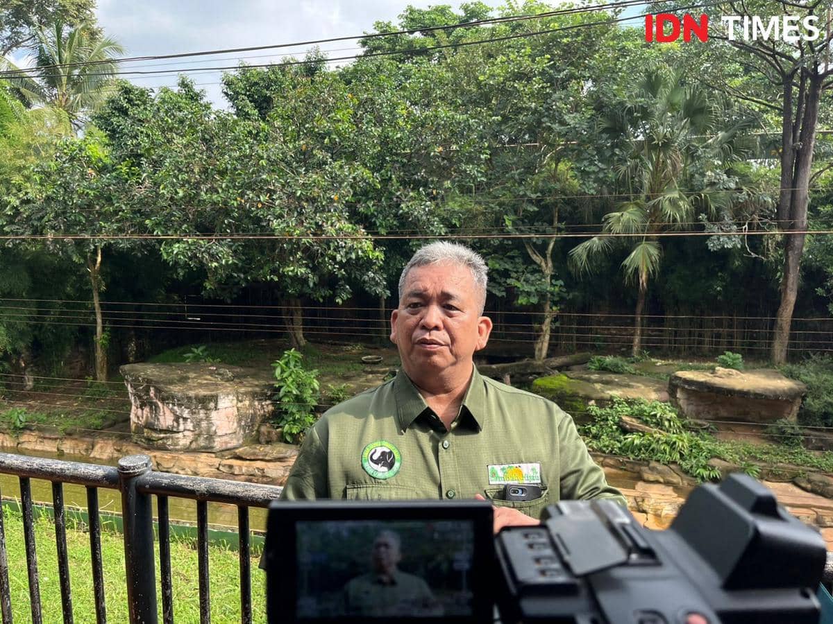 Komisaris LK Lembah Hijau Lampung, M Irwan Nasution. (IDN Times/Tama Yudha Wiguna).