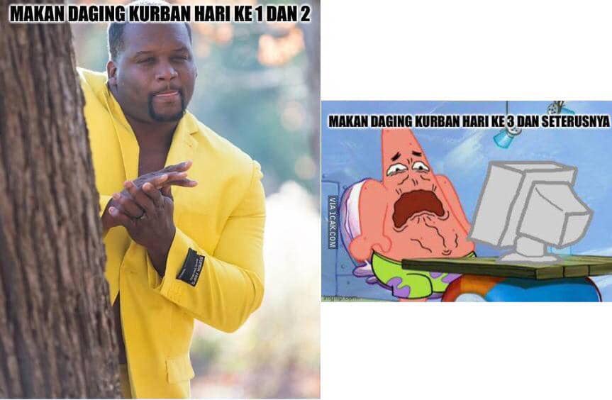 Meme Hewan Kurban Idul Adha 2026
