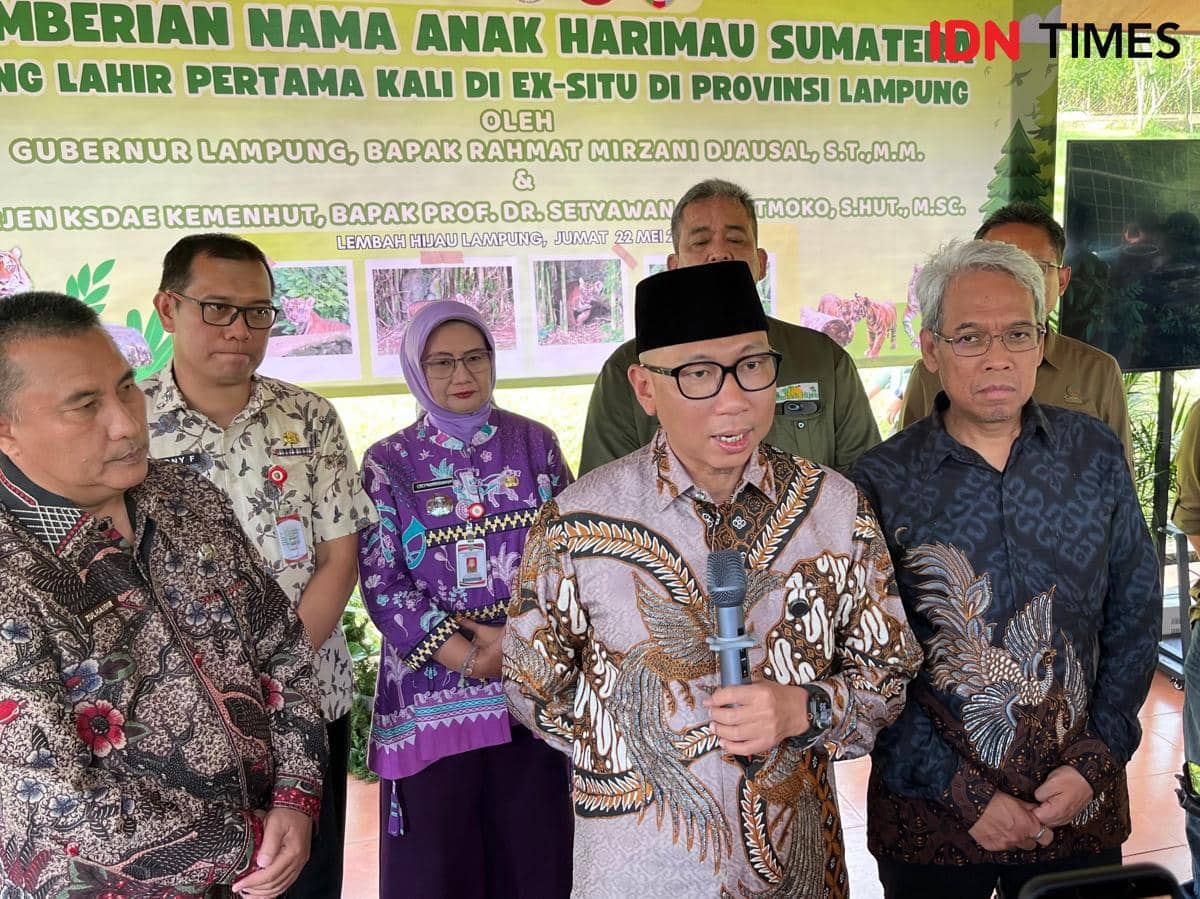 Konferensi pers pemberian nama dua anak harimau Sumatra di LK Lembah Hijau Lampung. (IDN Times/Tama Yudha Wiguna). 