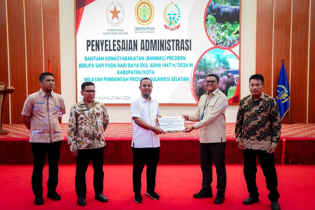 Sulsel Dapat 25 Sapi Kurban dari Presiden, Bobot di Atas 1 Ton
