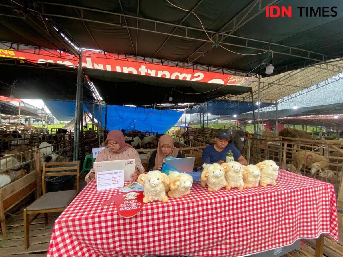 Pedagang Hewan Kurban di Surabaya Ini Beri Gift Boneka Domba
