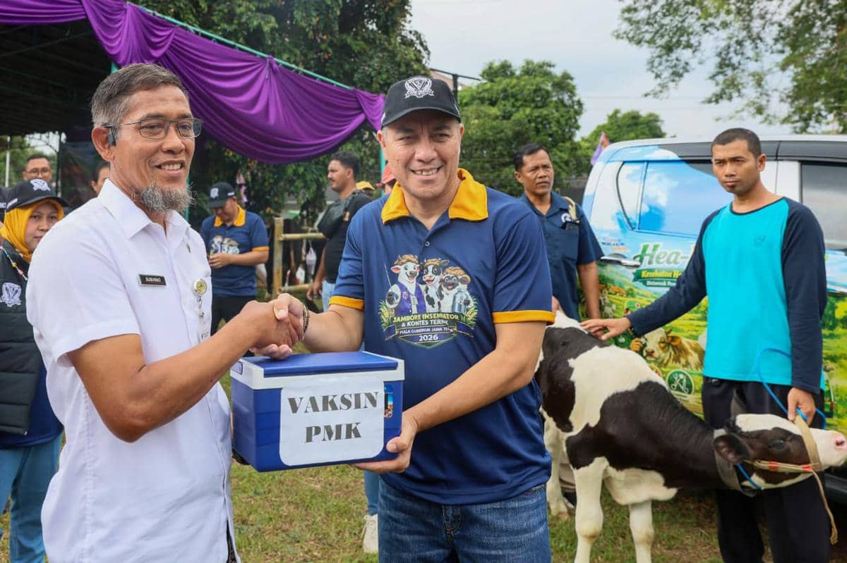 Ternak se-Jateng Diberi Healing Jelang Idul Adha, Ini Manfaatnya