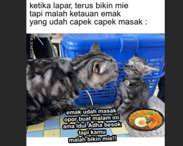 Meme Hewan Kurban Idul Adha 2026