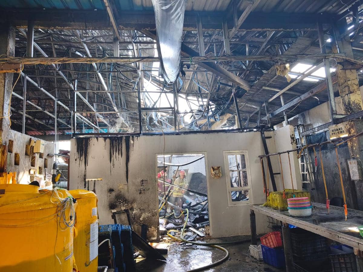 Diduga Akibat Arus Pendek, Gudang Ikan Hias di Denpasar Terbakar