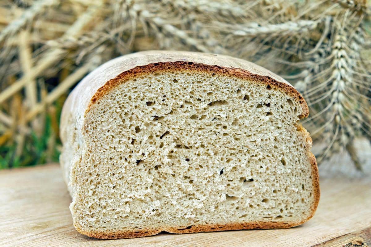 ilustrasi roti gandum