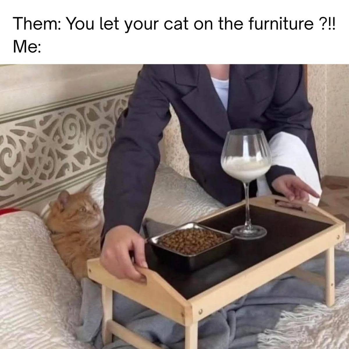 meme kucing dan meja